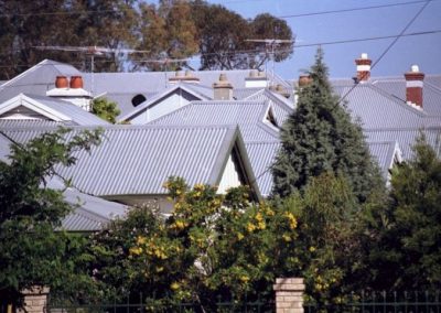 Metal roofing on multiple homes in a rural area